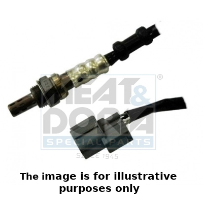 Oxygen Sensor